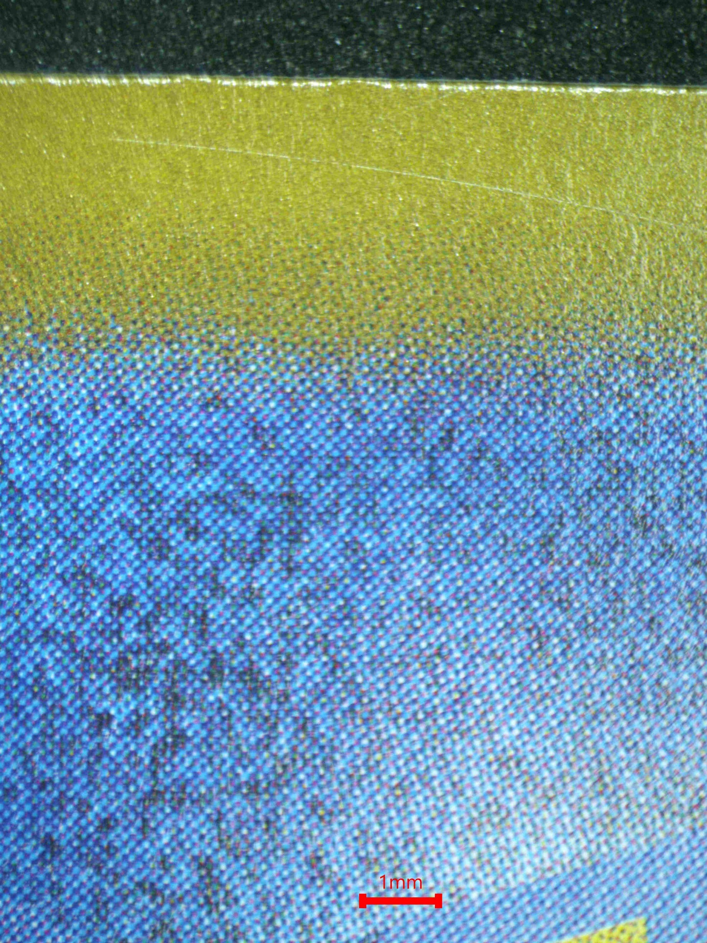 07990 BUDDY-BUDDY POFFIN (JAPANESE) Grading Card