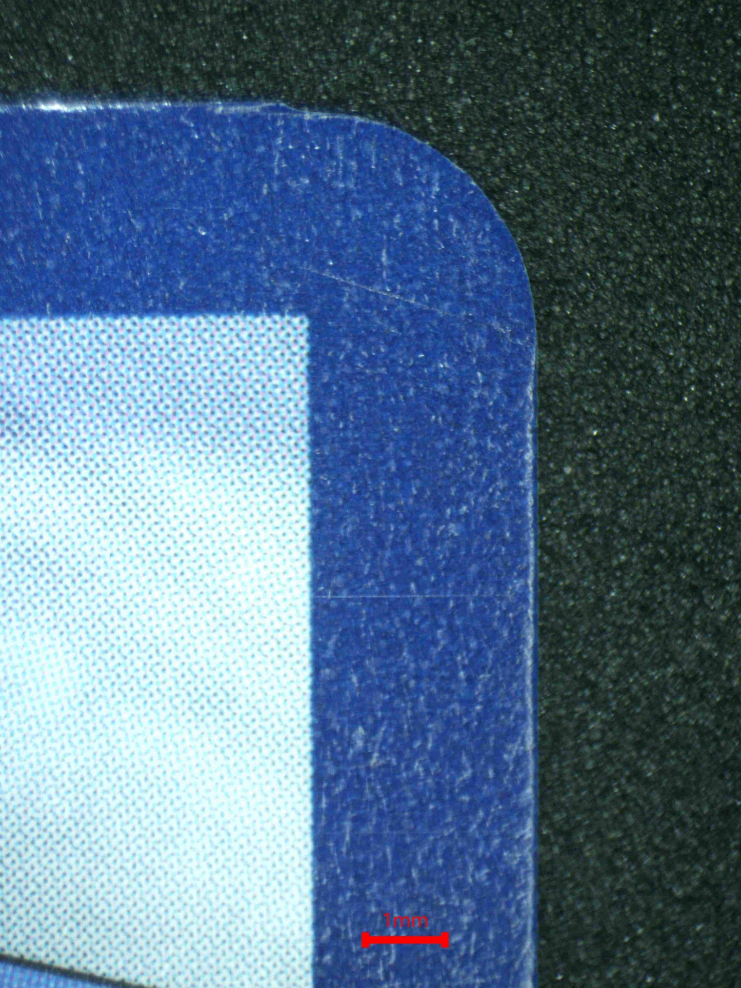 07991 ETHAN'S TYPHLOSION Grading Card