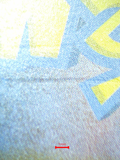 07994 SURFING PIKACHU VMAX (JAPANESE) Grading Card