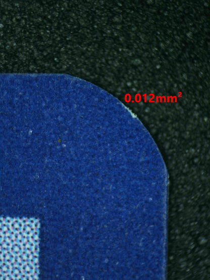 07995 EEVEE Grading Card