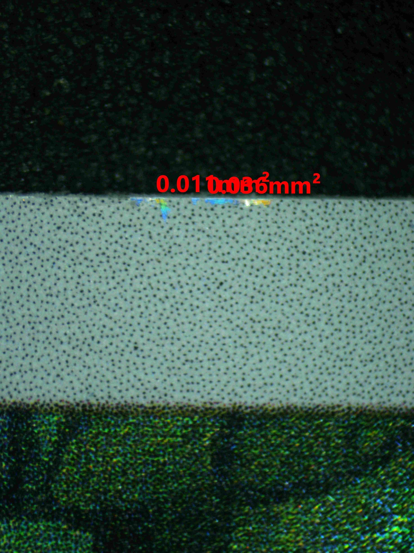 07995 EEVEE Grading Card