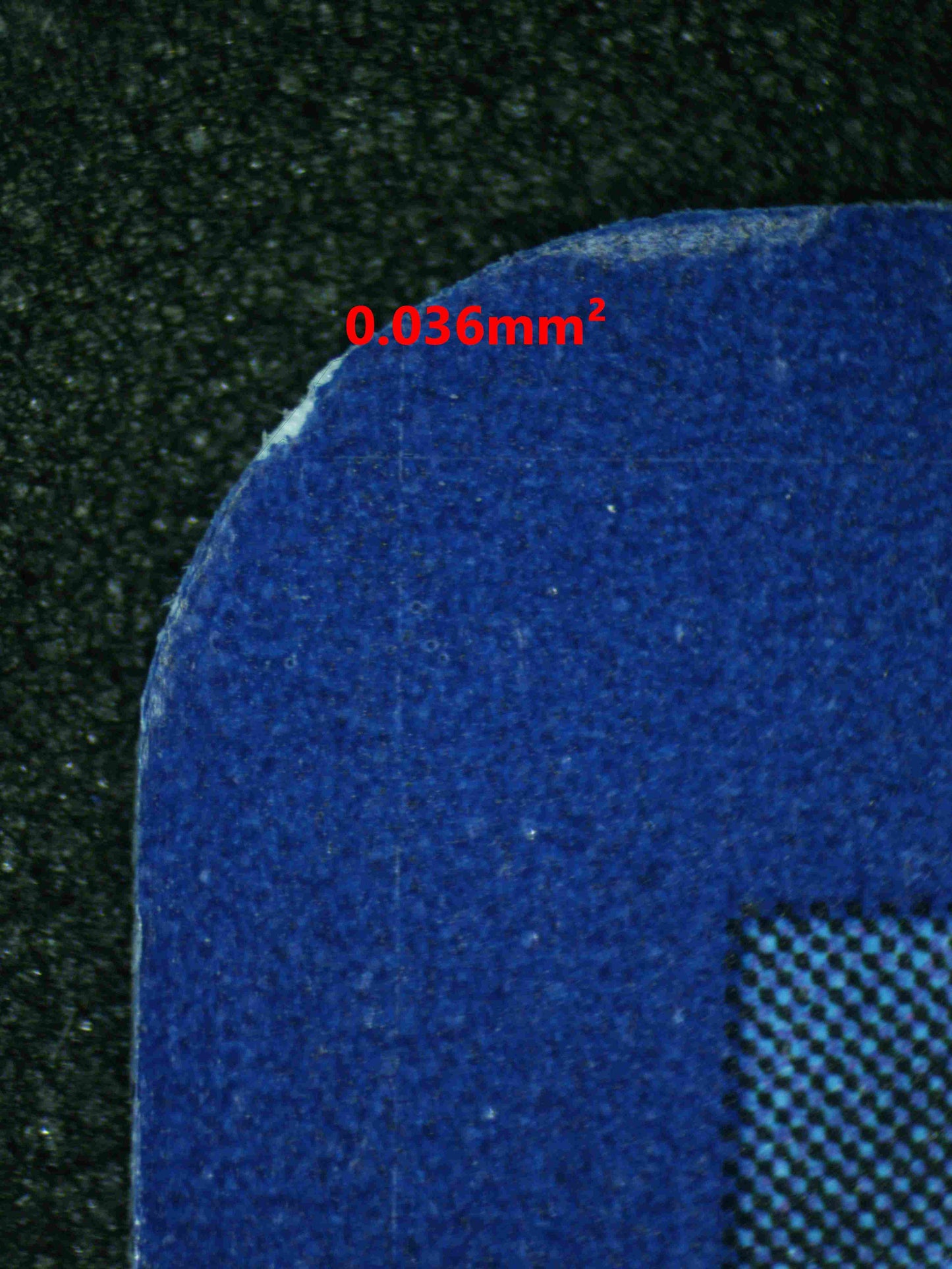 07999 UMBREON (SPANISH) Grading Card