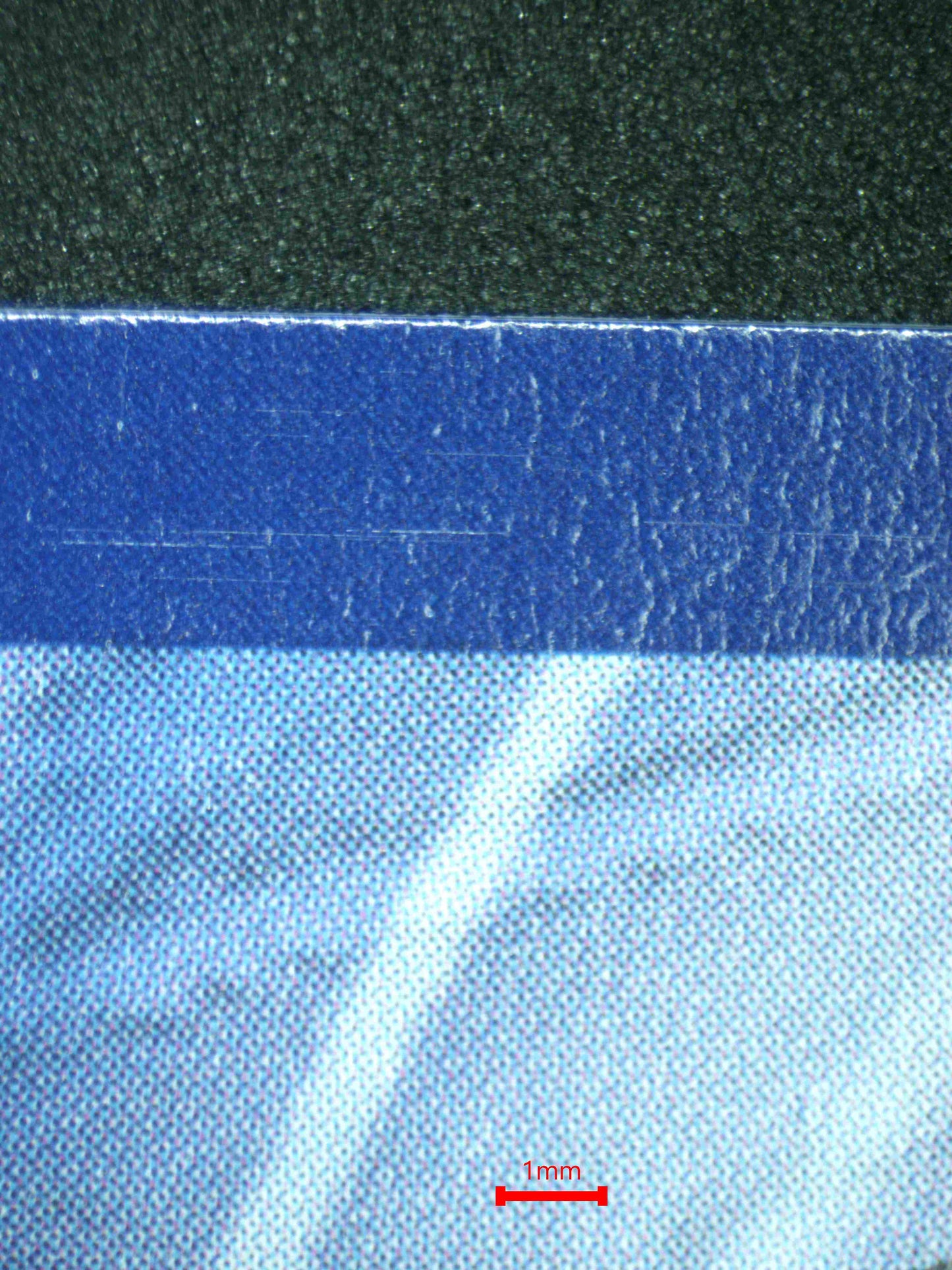 08000 MEGA VENUSAUR EX (LATAM) Grading Card