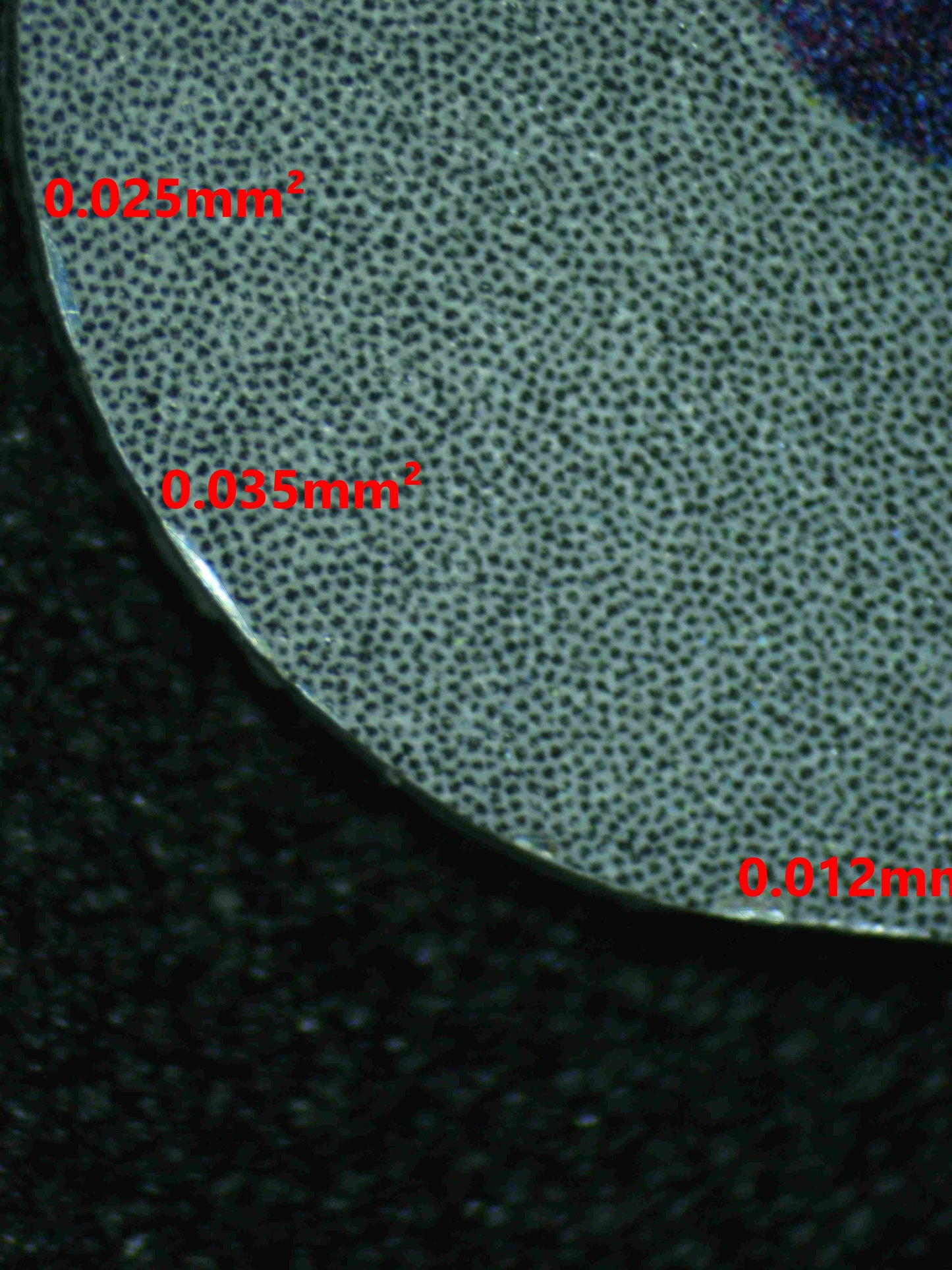 08003 DUSKNOIR Grading Card