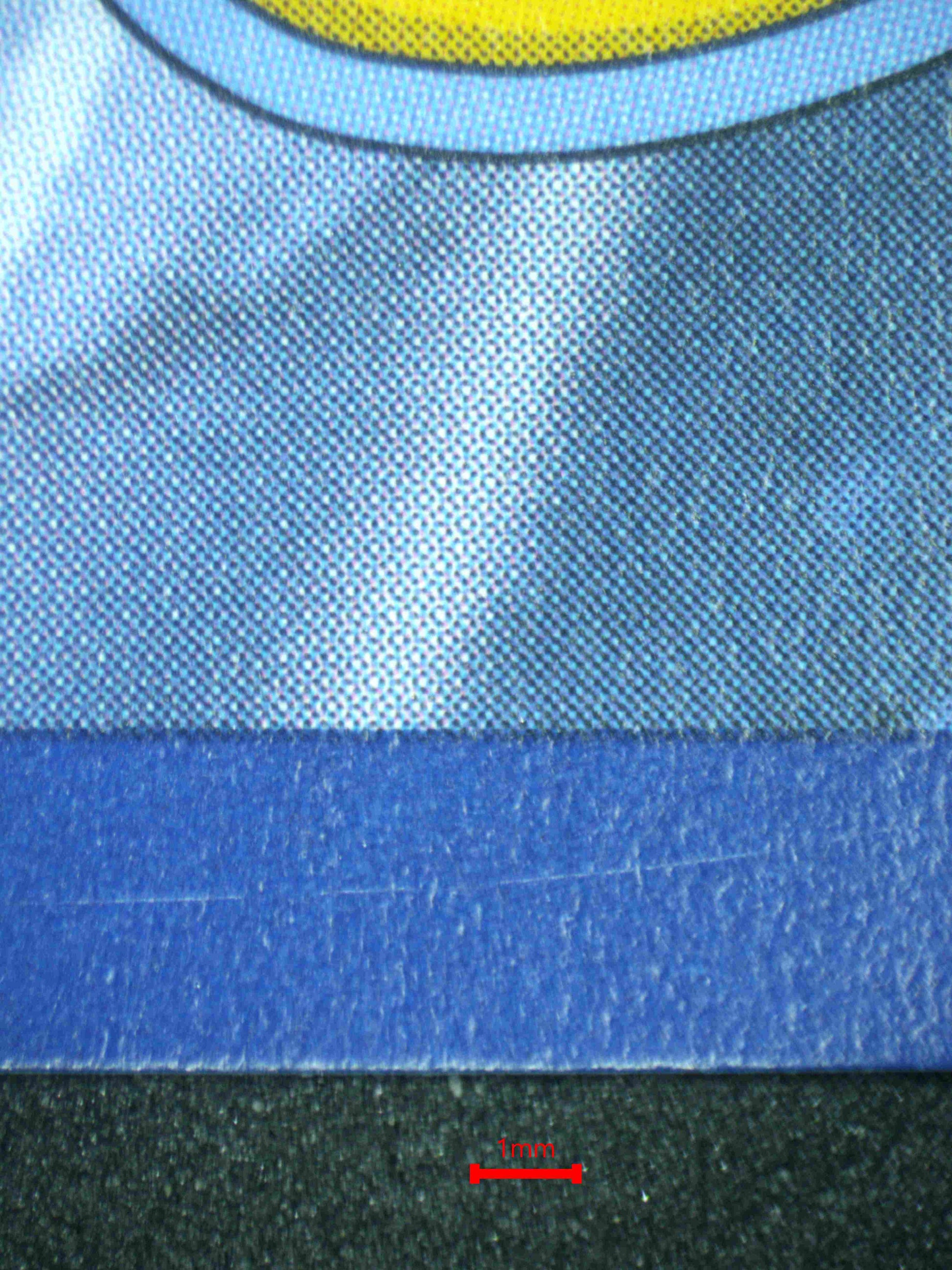 08005 VENUSAUR EX Grading Card