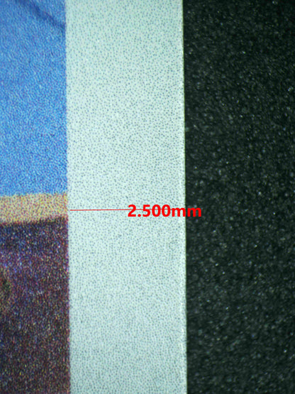 08007 MISTY'S LAPRAS Grading Card