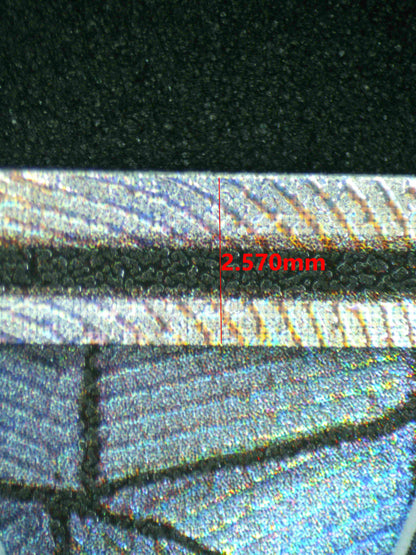 08012 MOLTRES & ZAPDOS & ARTICUNO GX Grading Card