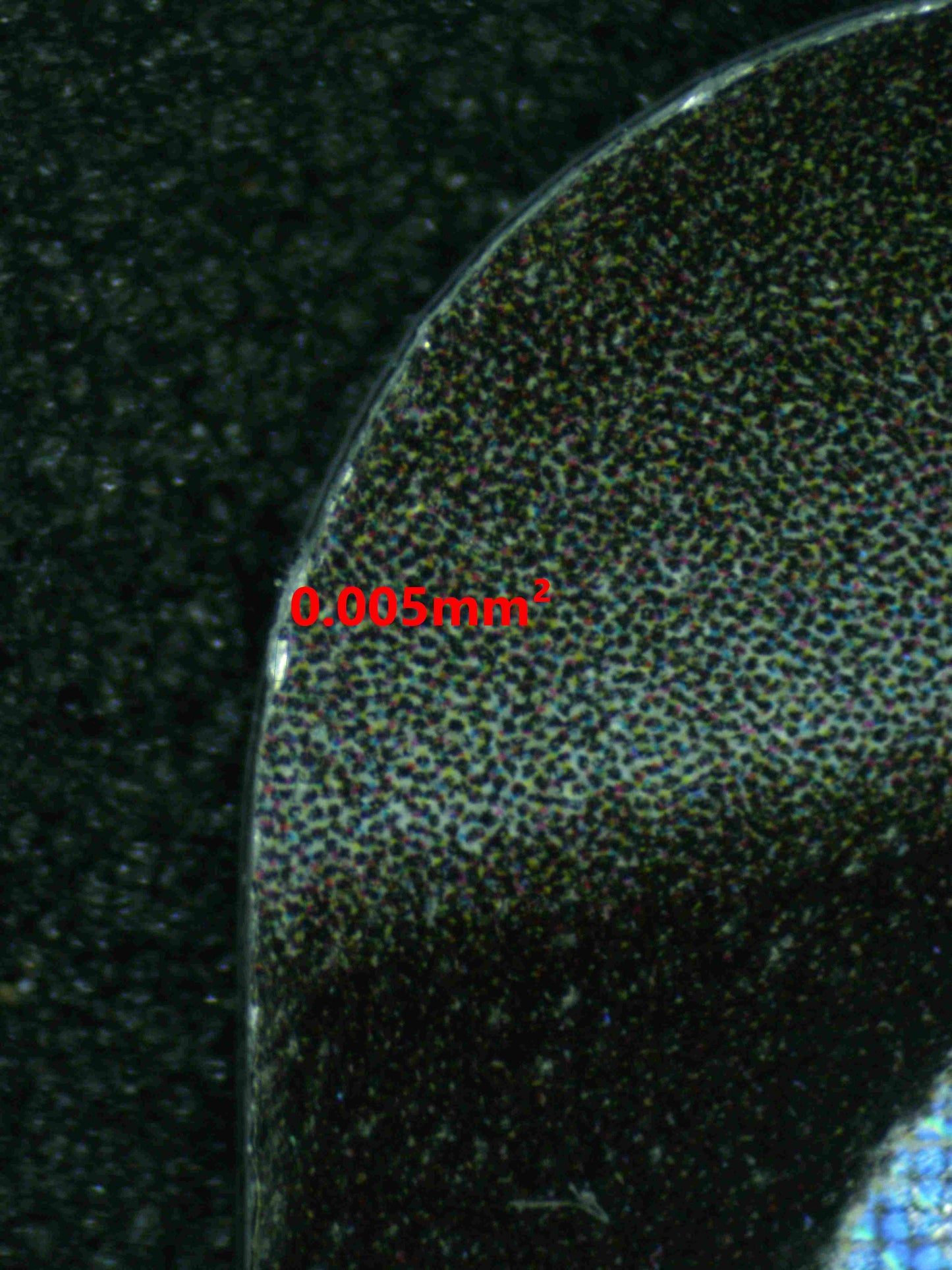 08018 TYRANITAR V Grading Card