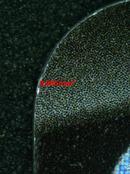 08018 TYRANITAR V Grading Card