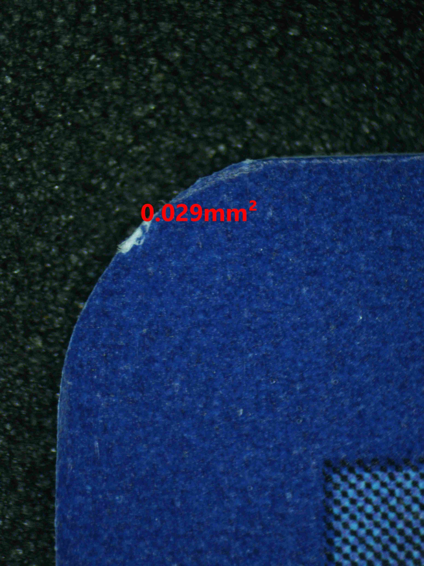 08020 WALKING WAKE EX Grading Card