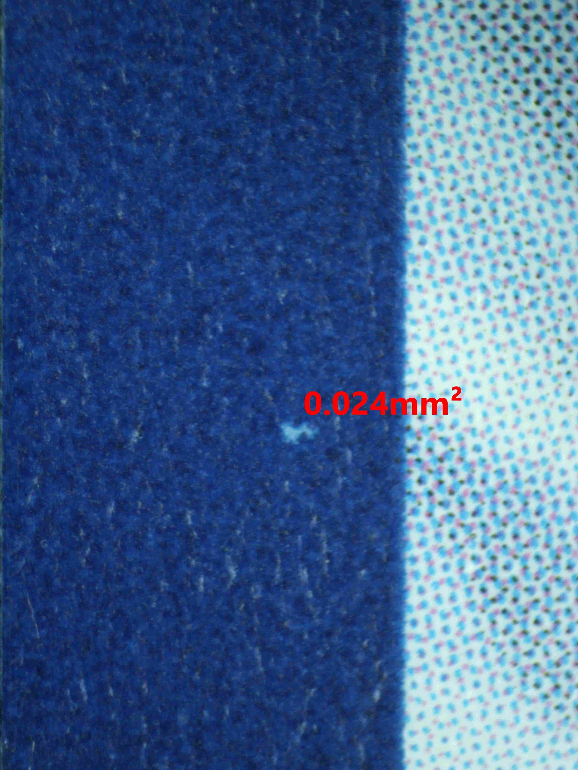 08021 NEMONA Grading Card