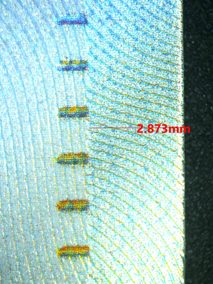 08021 NEMONA Grading Card