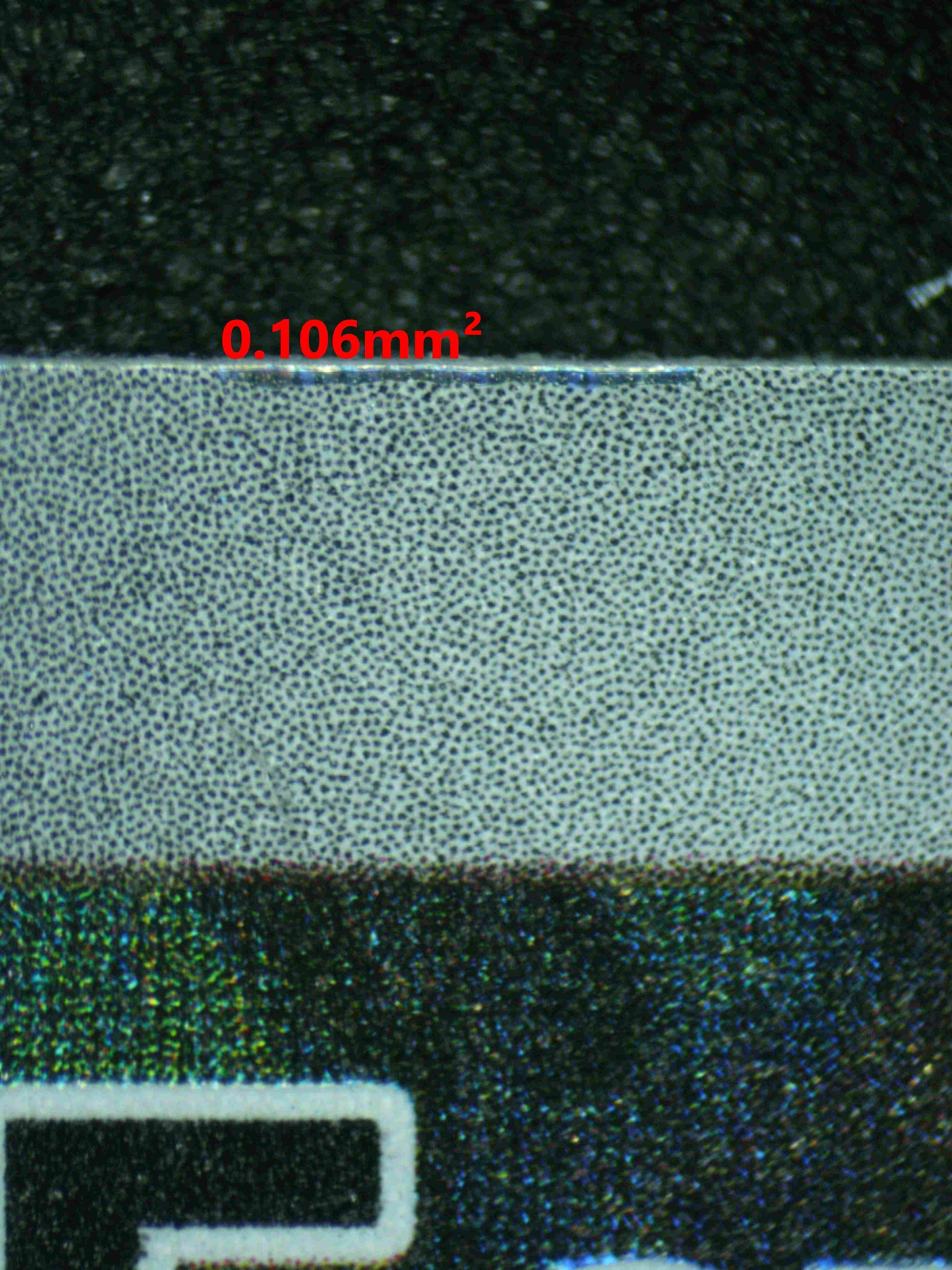 08029 EEVEE Grading Card