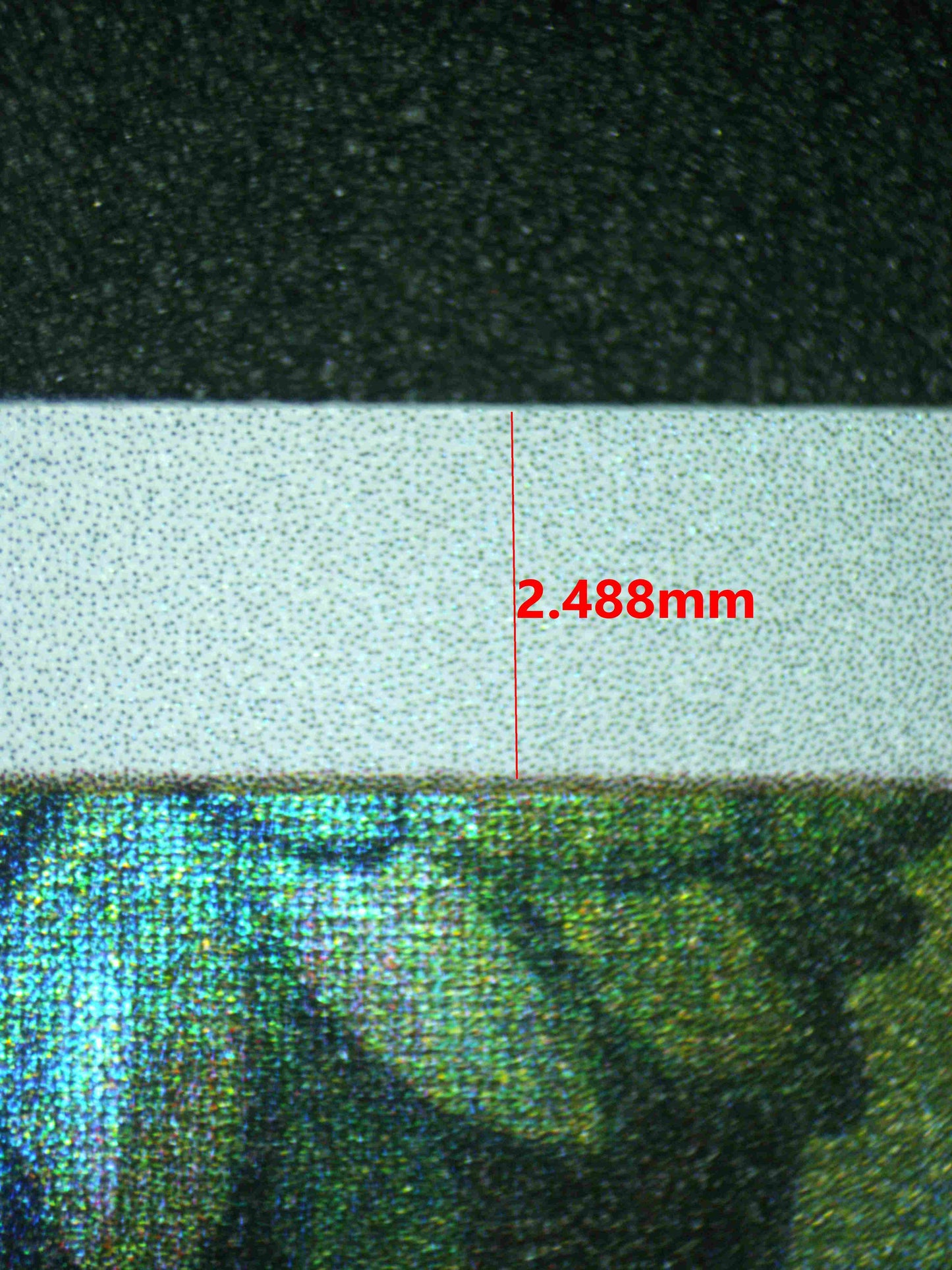 08029 EEVEE Grading Card