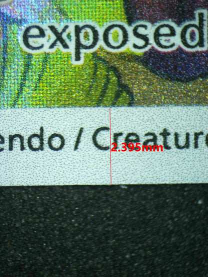 08029 EEVEE Grading Card