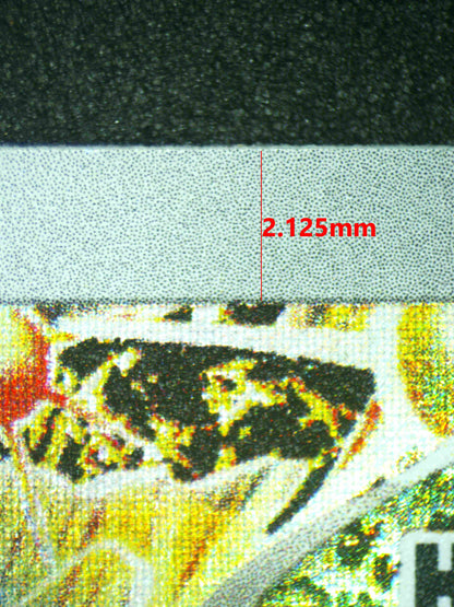 08030 MAGNETON Grading Card