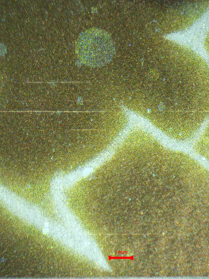 08032 PIKACHU (SPANISH) Grading Card