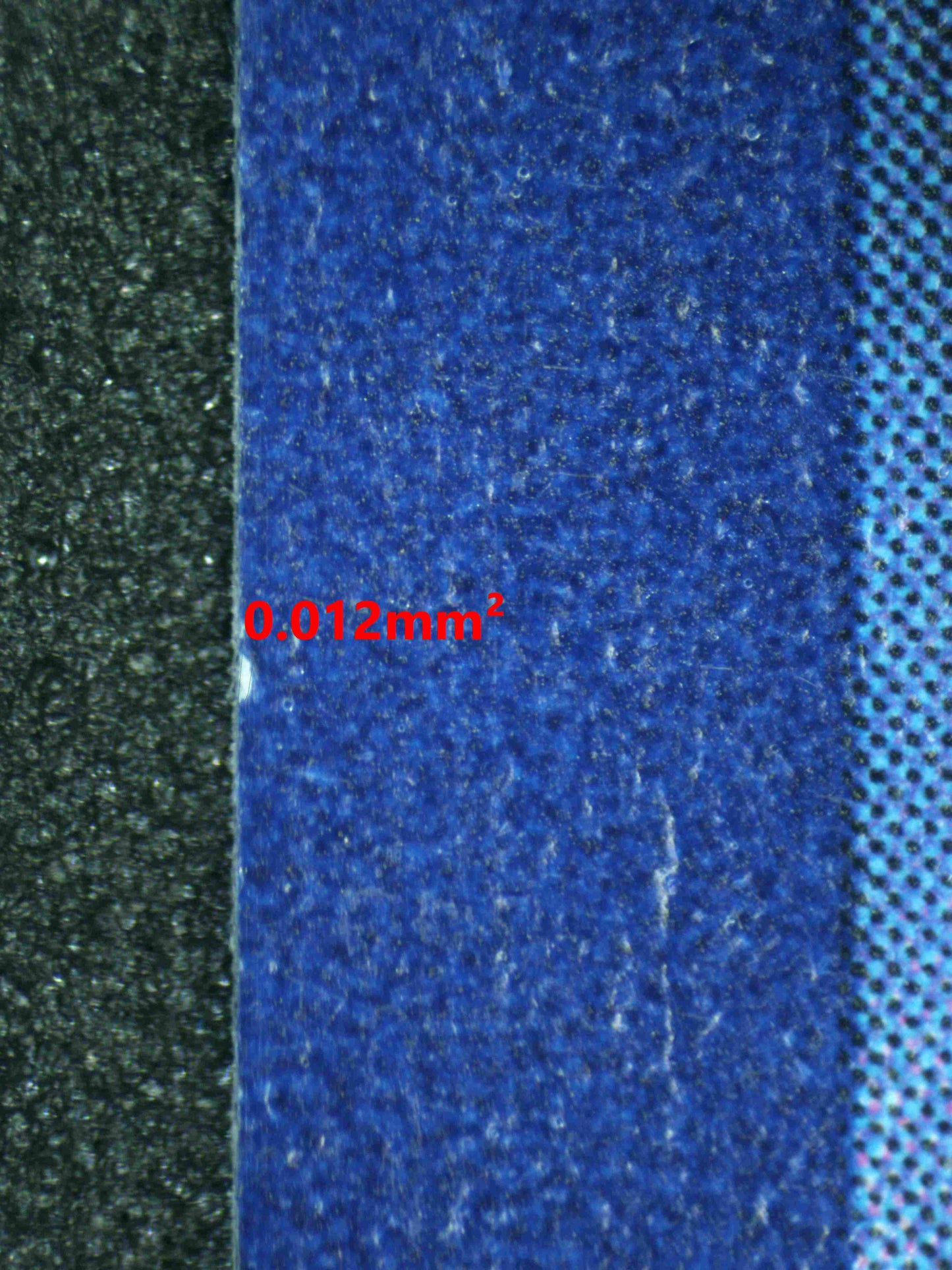 08041 POOCHYENA Grading Card