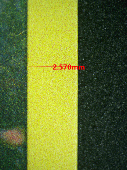 08041 POOCHYENA Grading Card