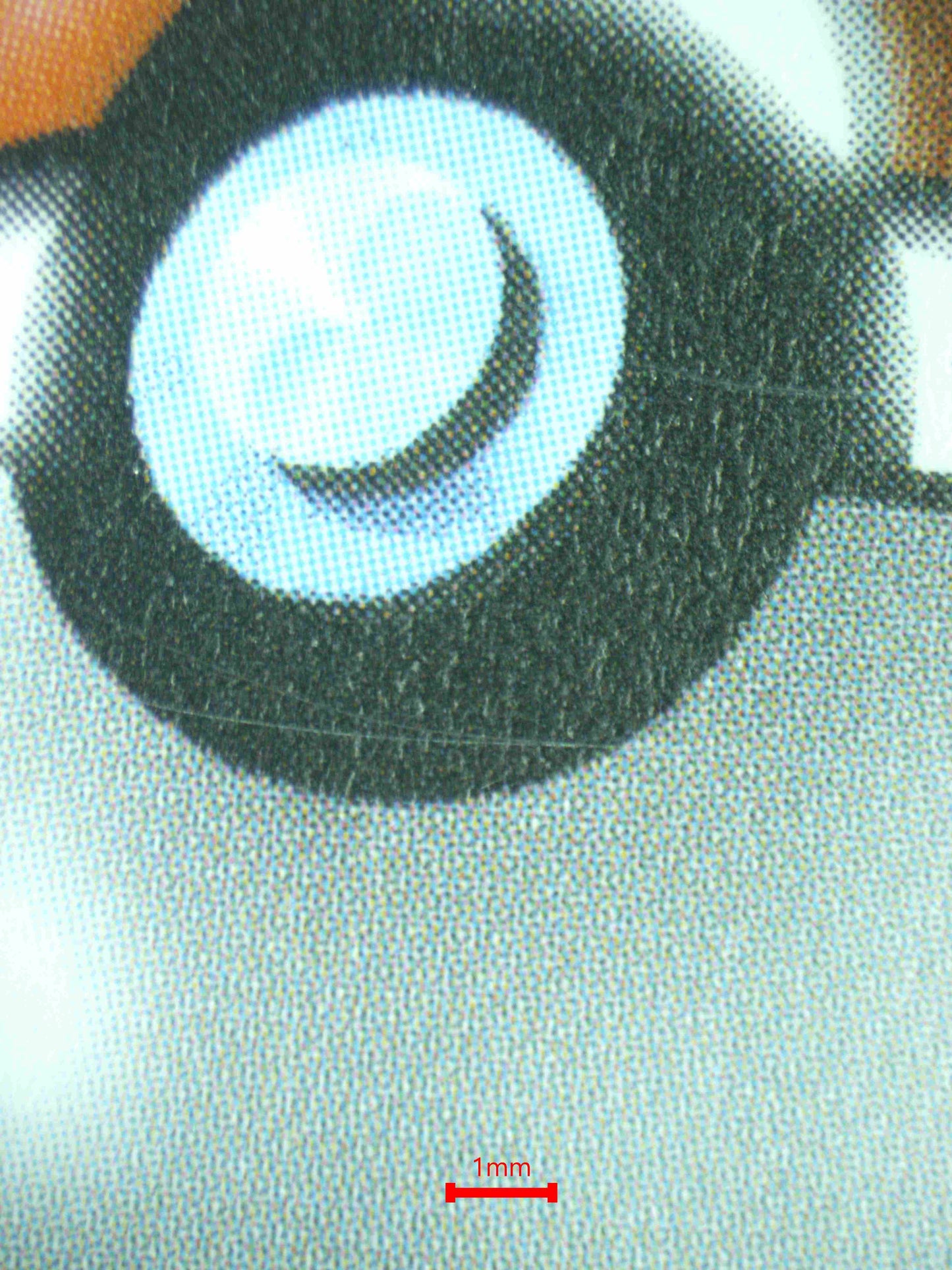 08105 SEISMITOAD Grading Card