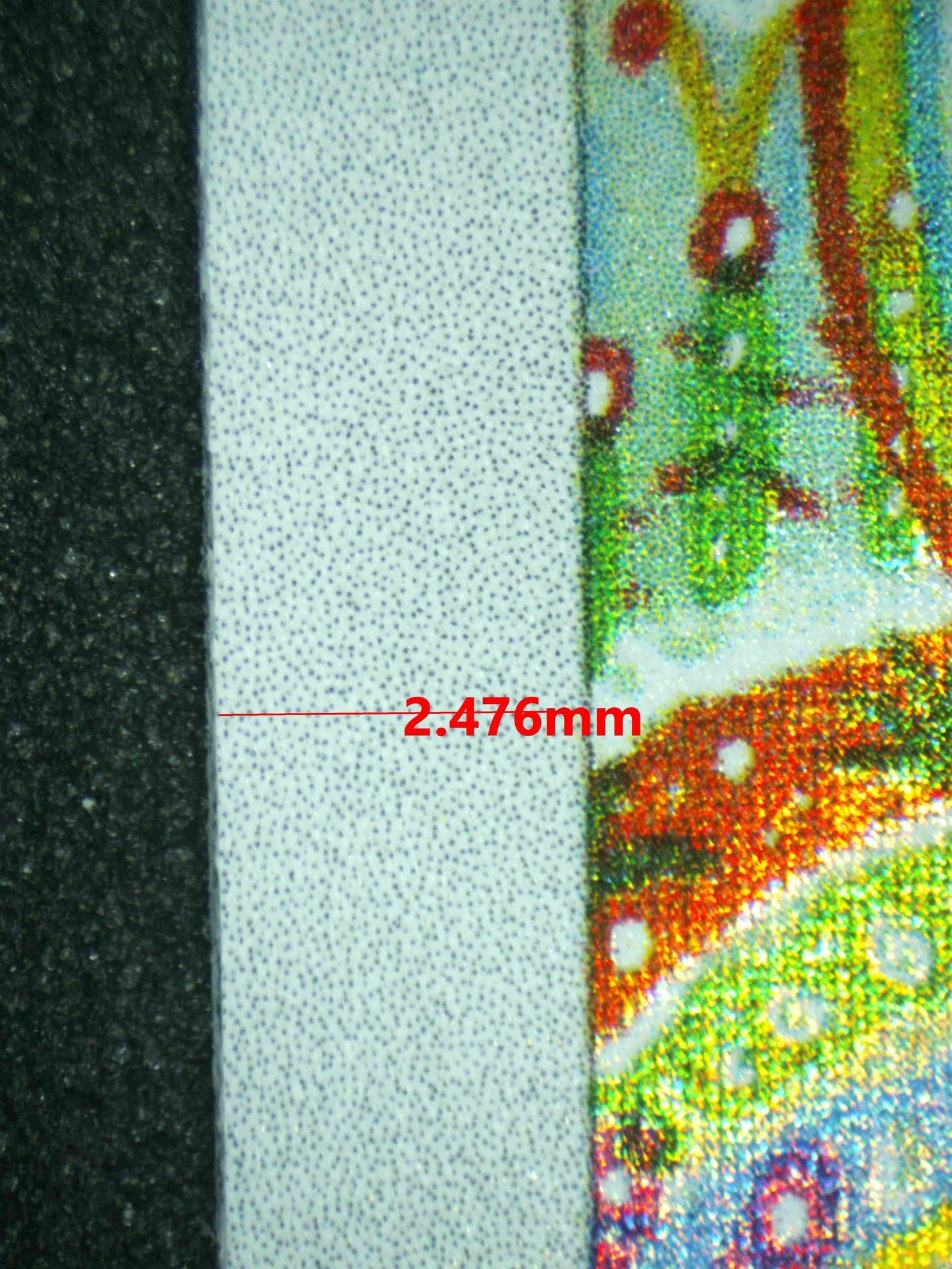 08105 SEISMITOAD Grading Card