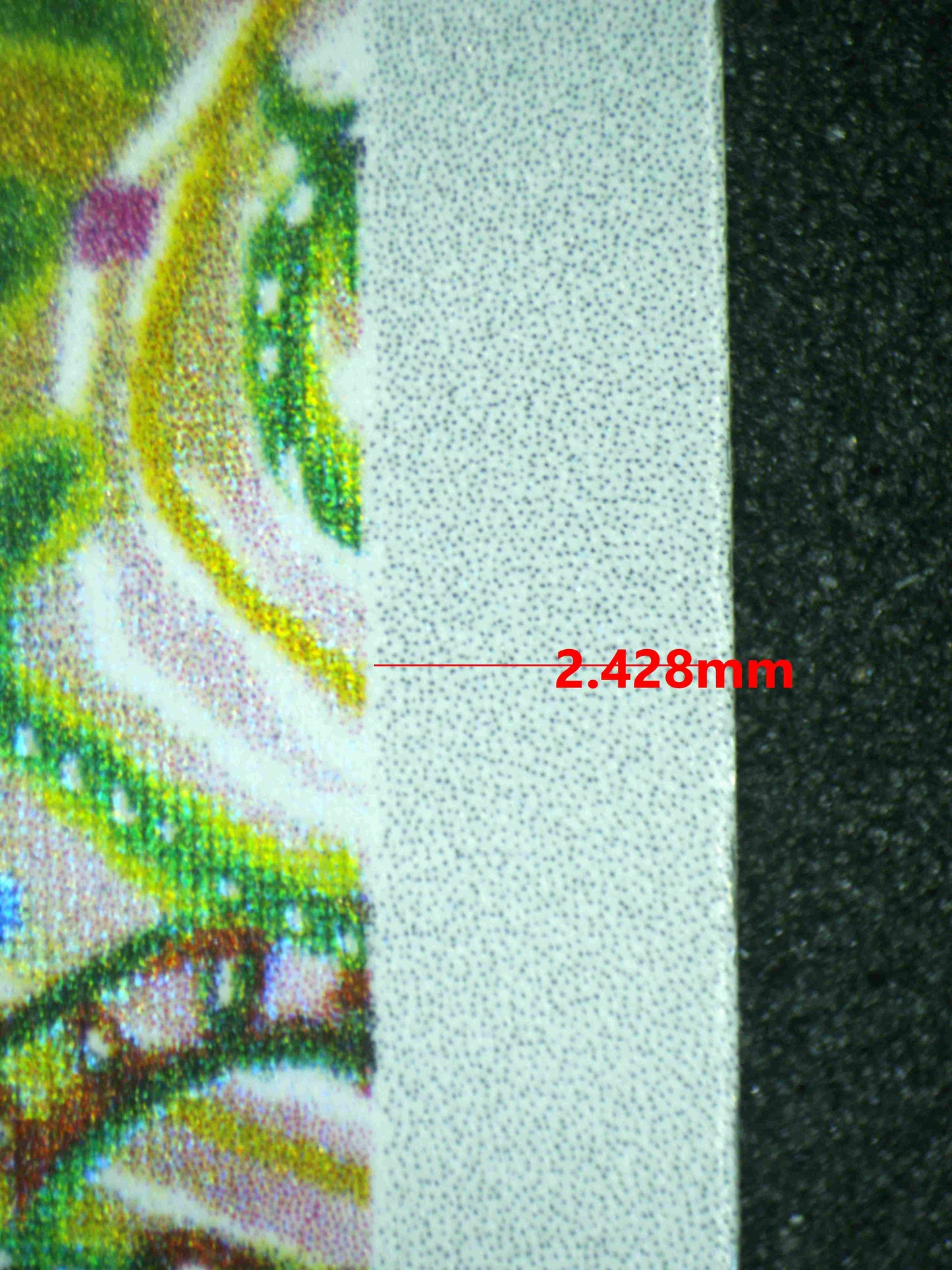 08105 SEISMITOAD Grading Card