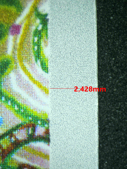 08105 SEISMITOAD Grading Card