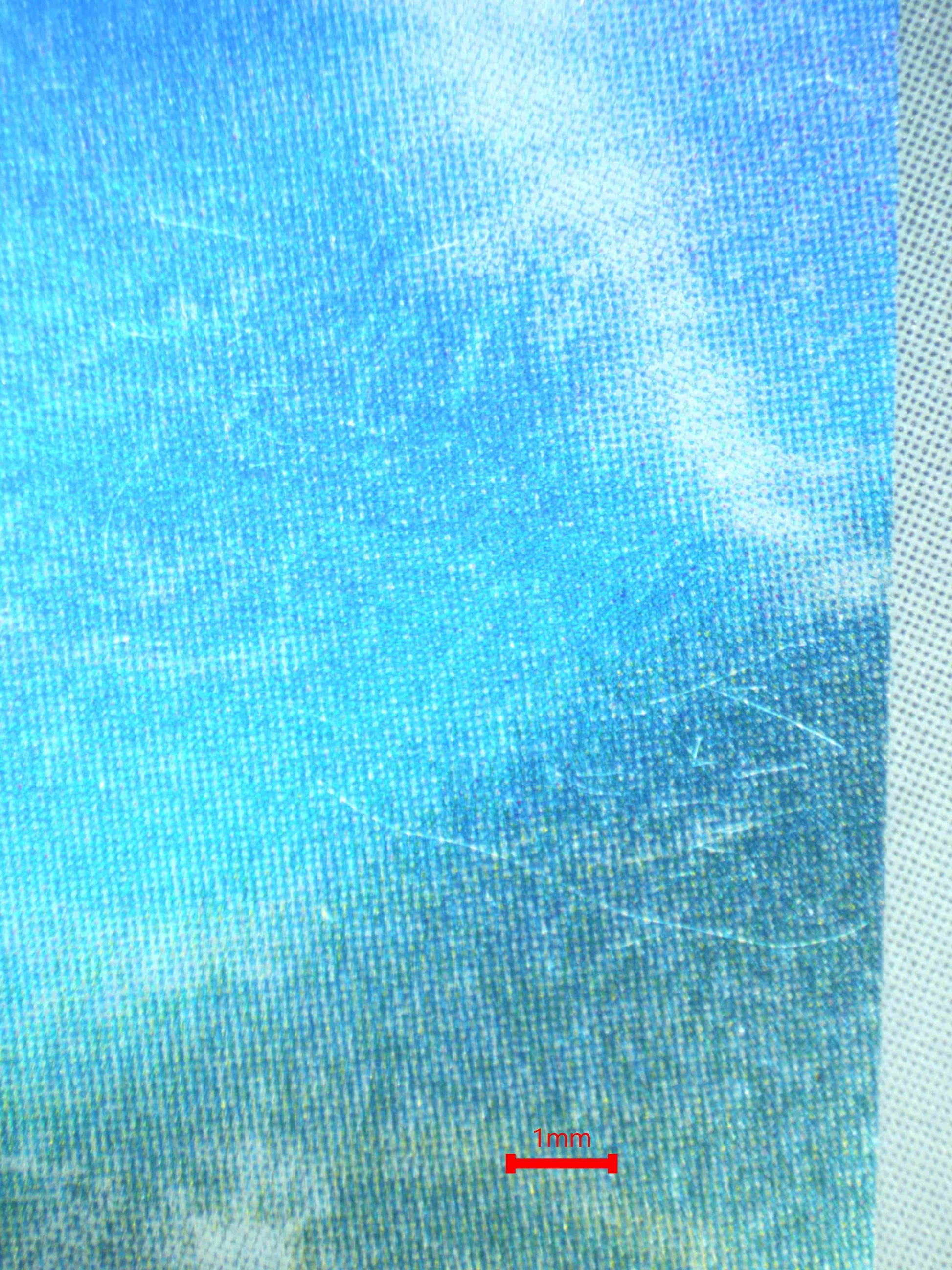 08047 SQUIRTLE (JAPANESE) Grading Card