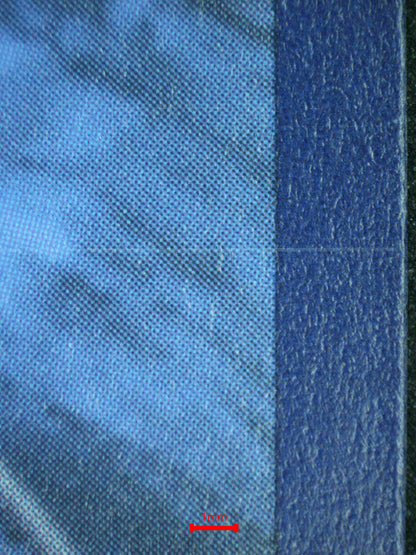 08152 BLASTOISE EX Grading Card