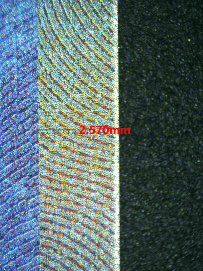 08152 BLASTOISE EX Grading Card