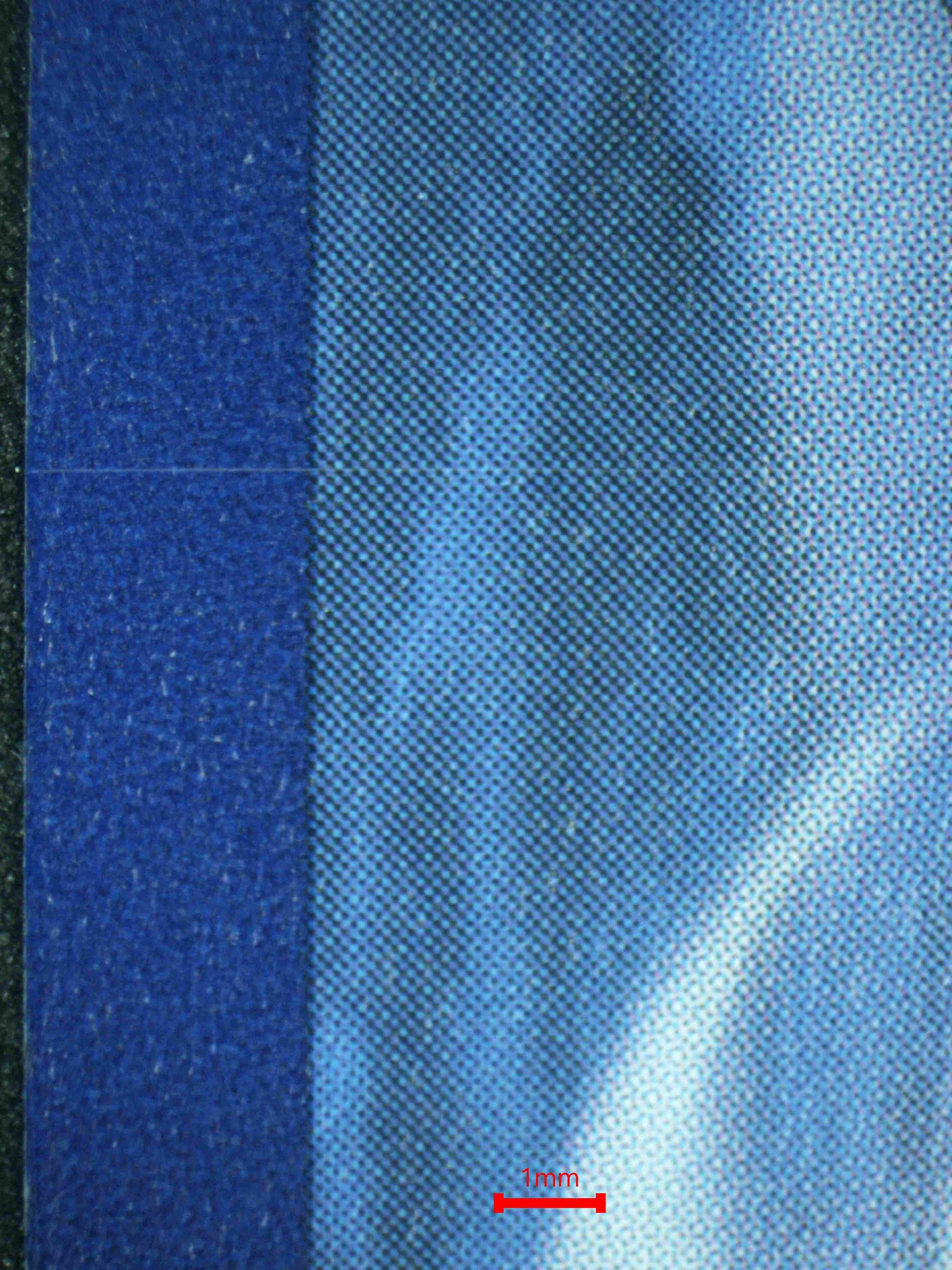 08153 LAEFEON EX Grading Card