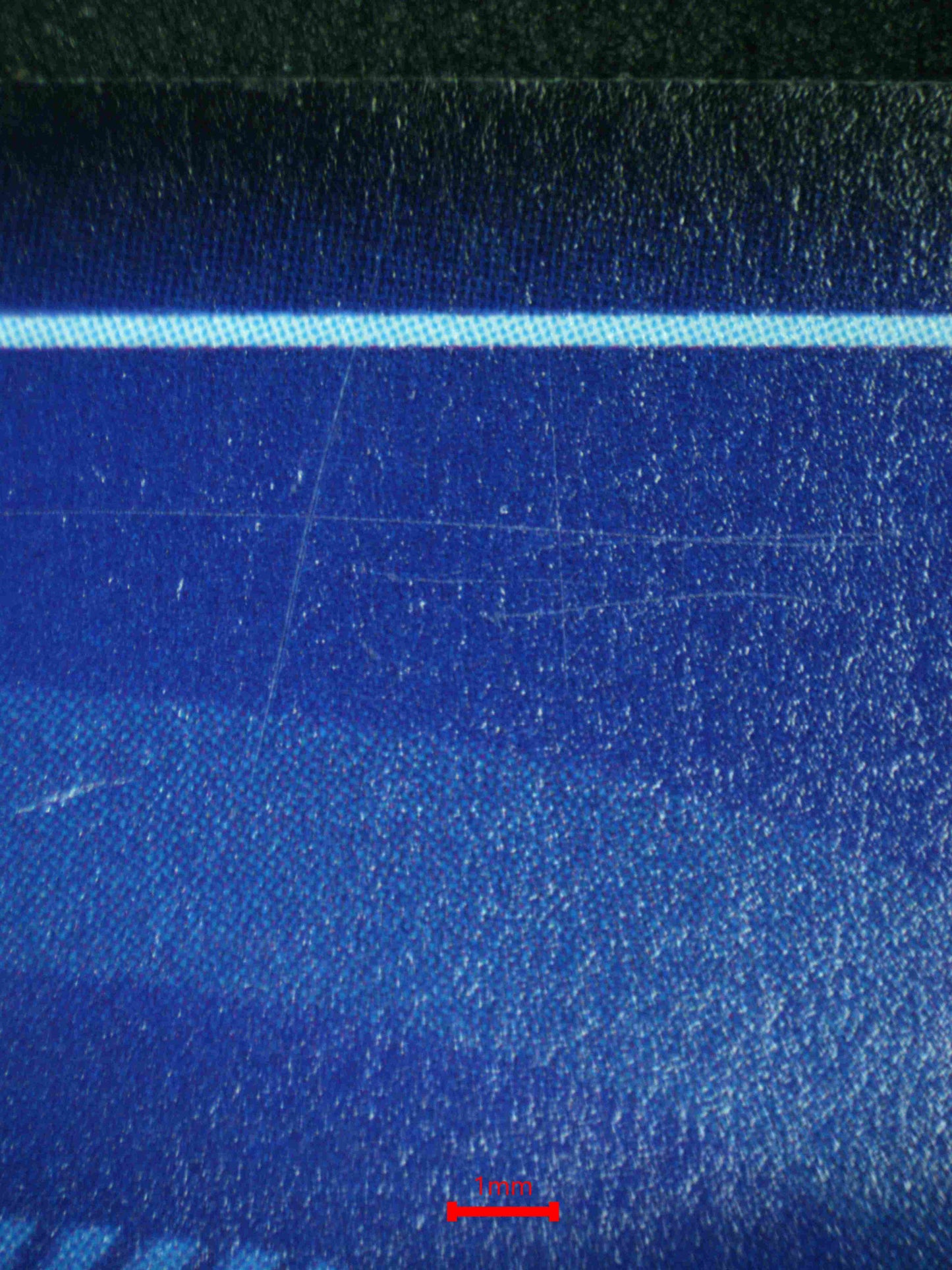 08154 ANGEWOMON Grading Card