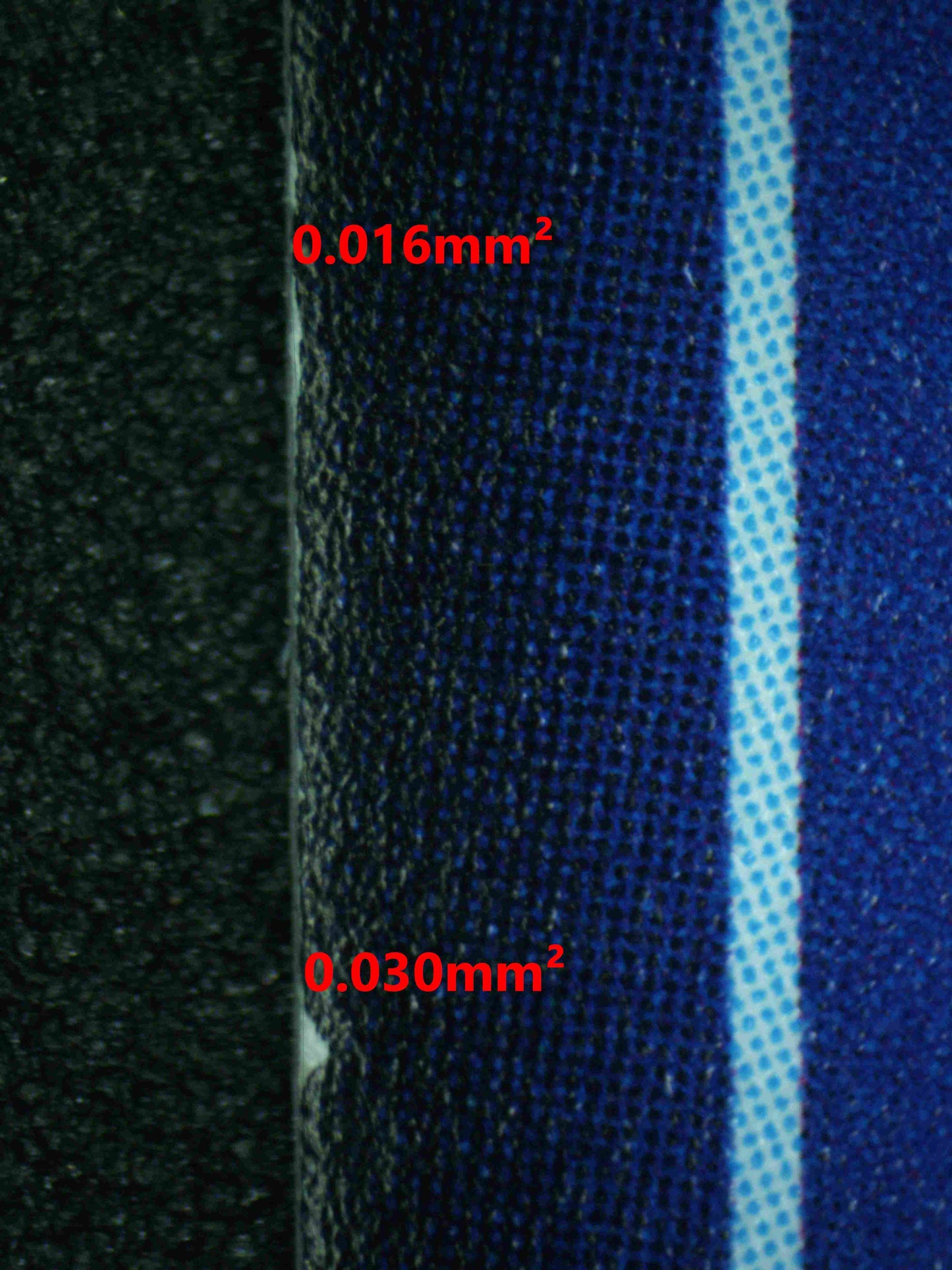 08155 GATOMON Grading Card