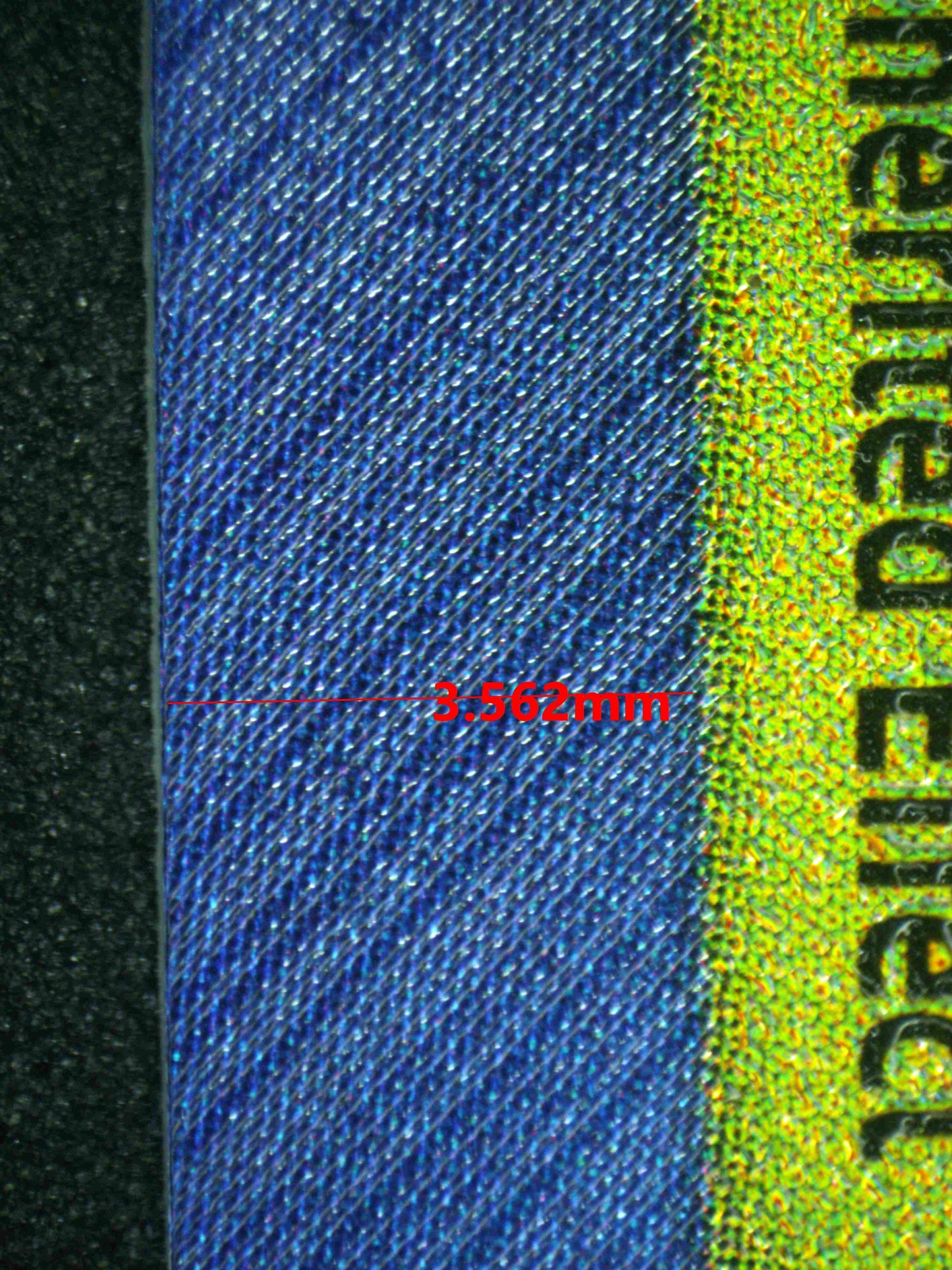 08155 GATOMON Grading Card