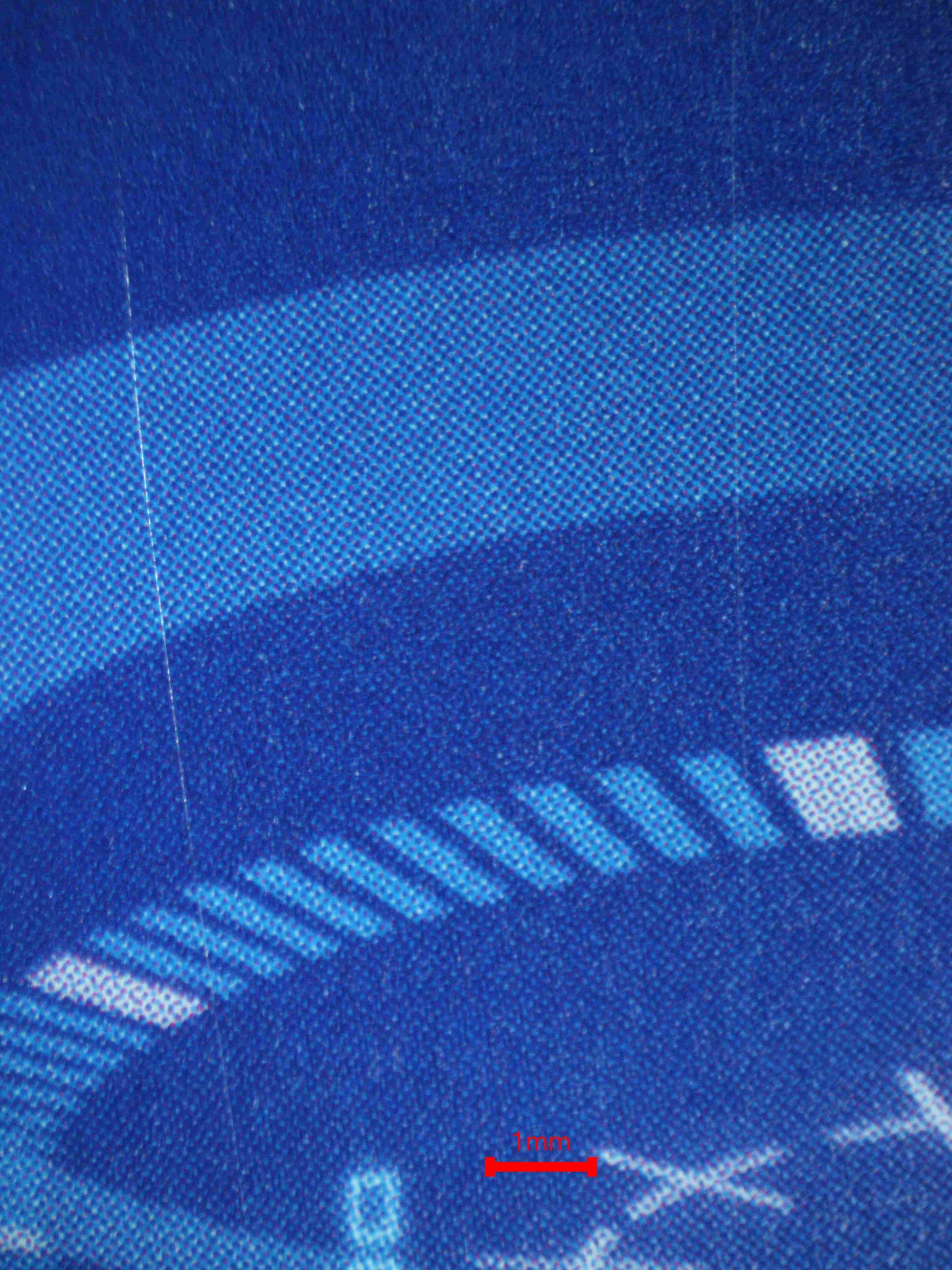 08157 CALUMON Grading Card