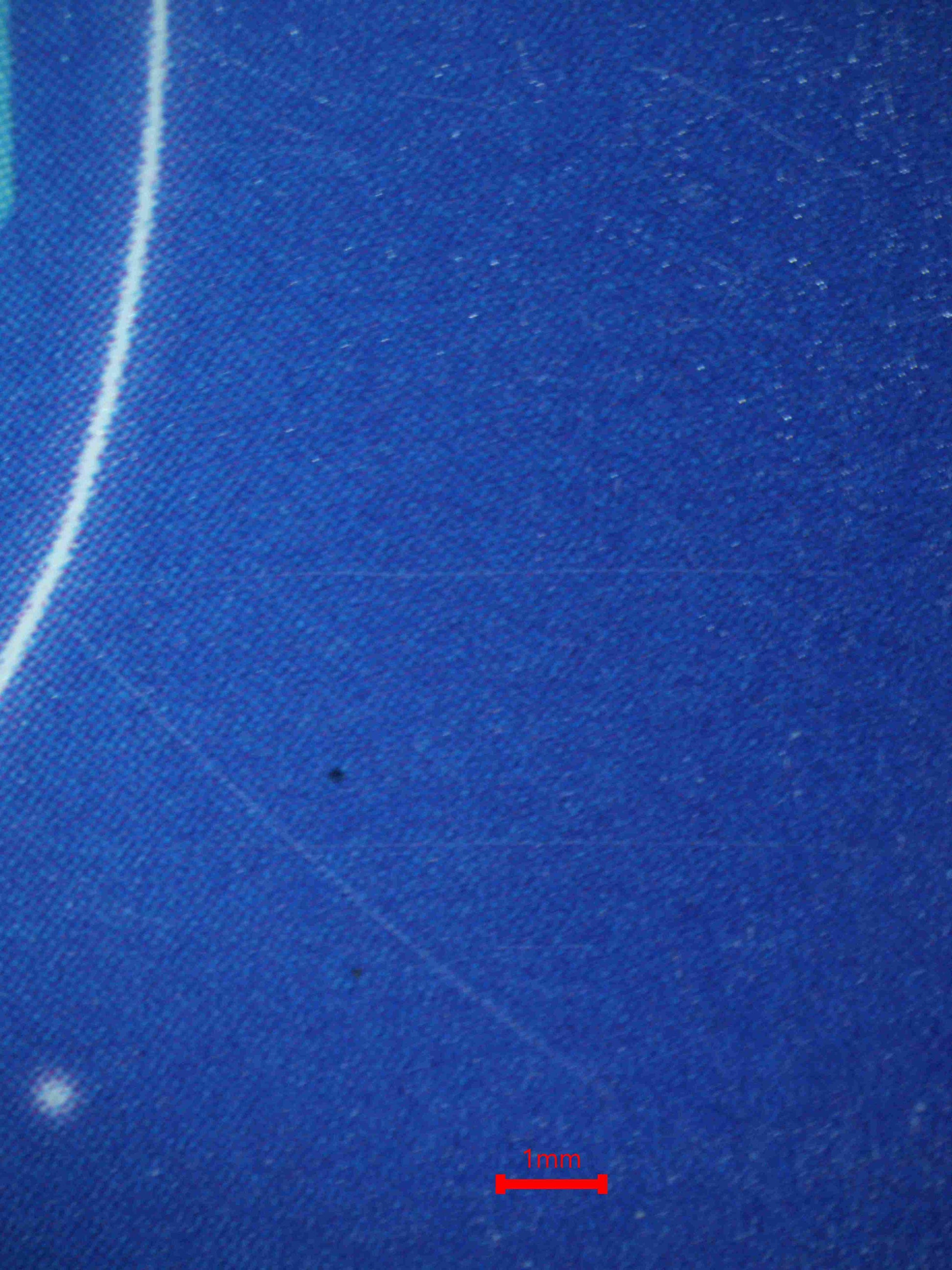 08160 TYRANNOMON Grading Card