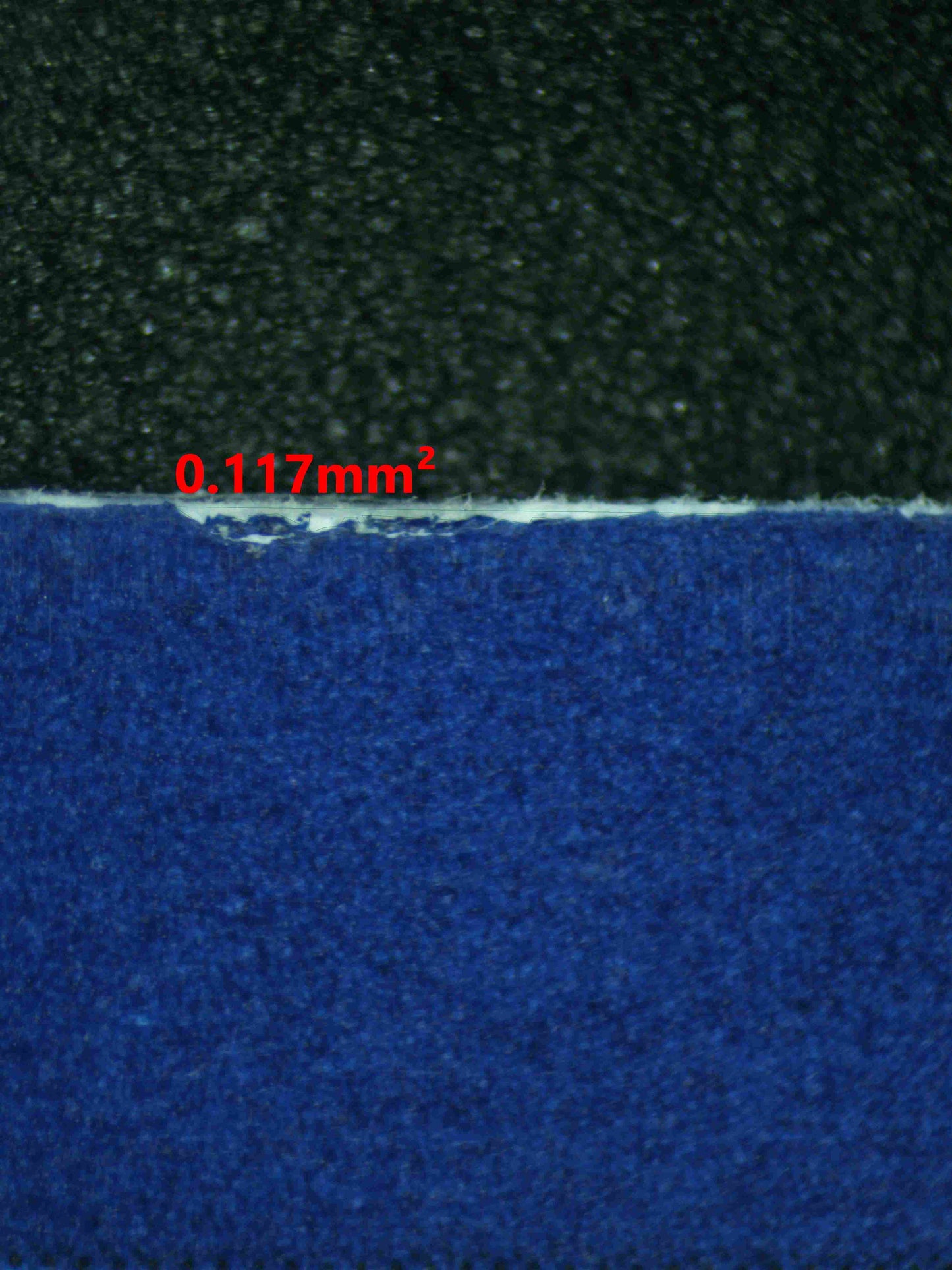 08165 MAGIKARP Grading Card