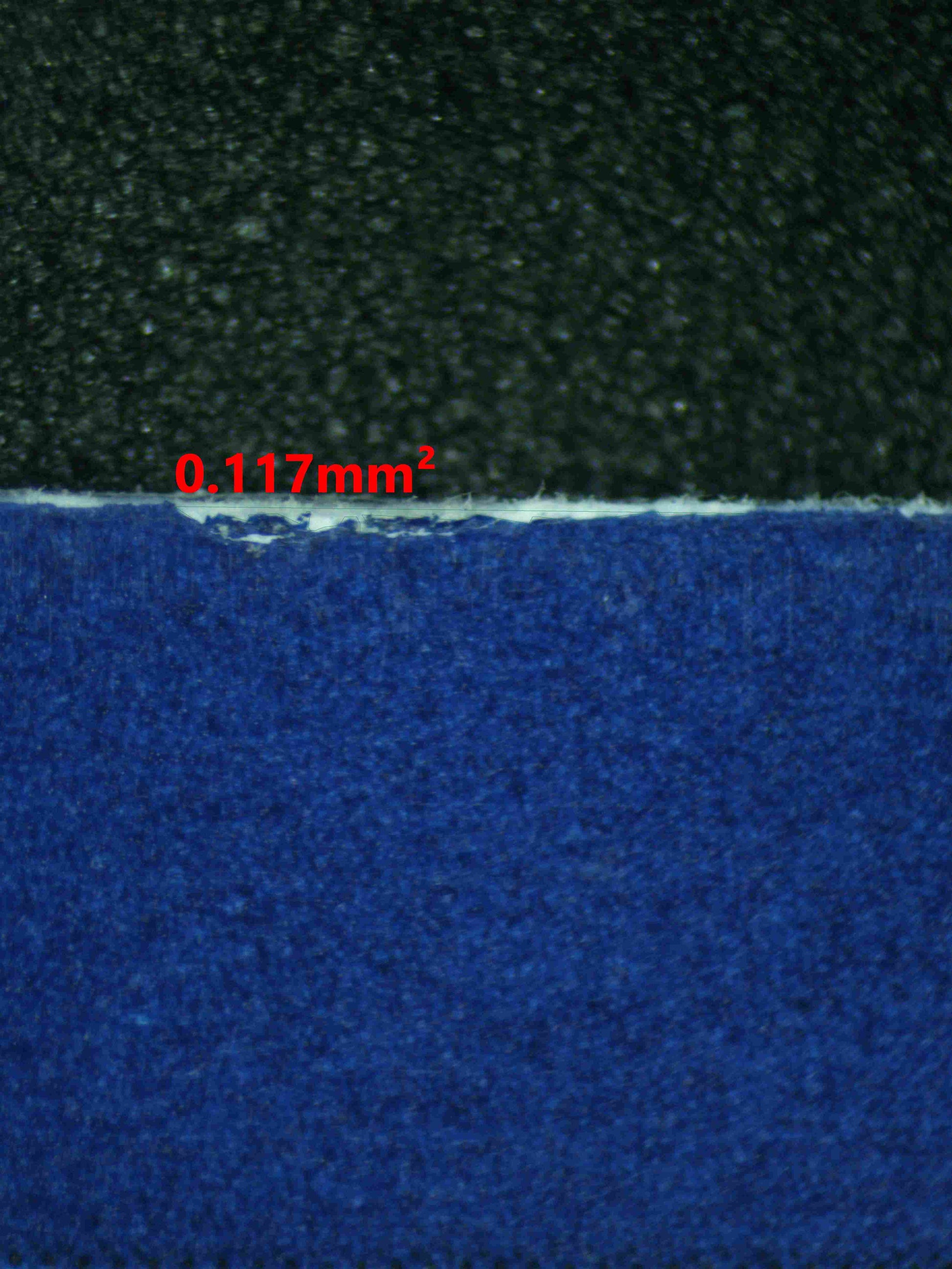 08165 MAGIKARP Grading Card