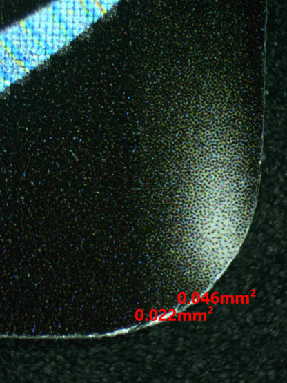 08181 DRAGONITE V Grading Card