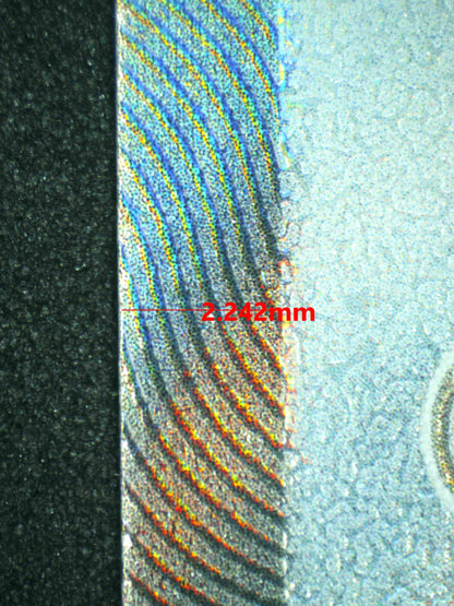 08181 DRAGONITE V Grading Card