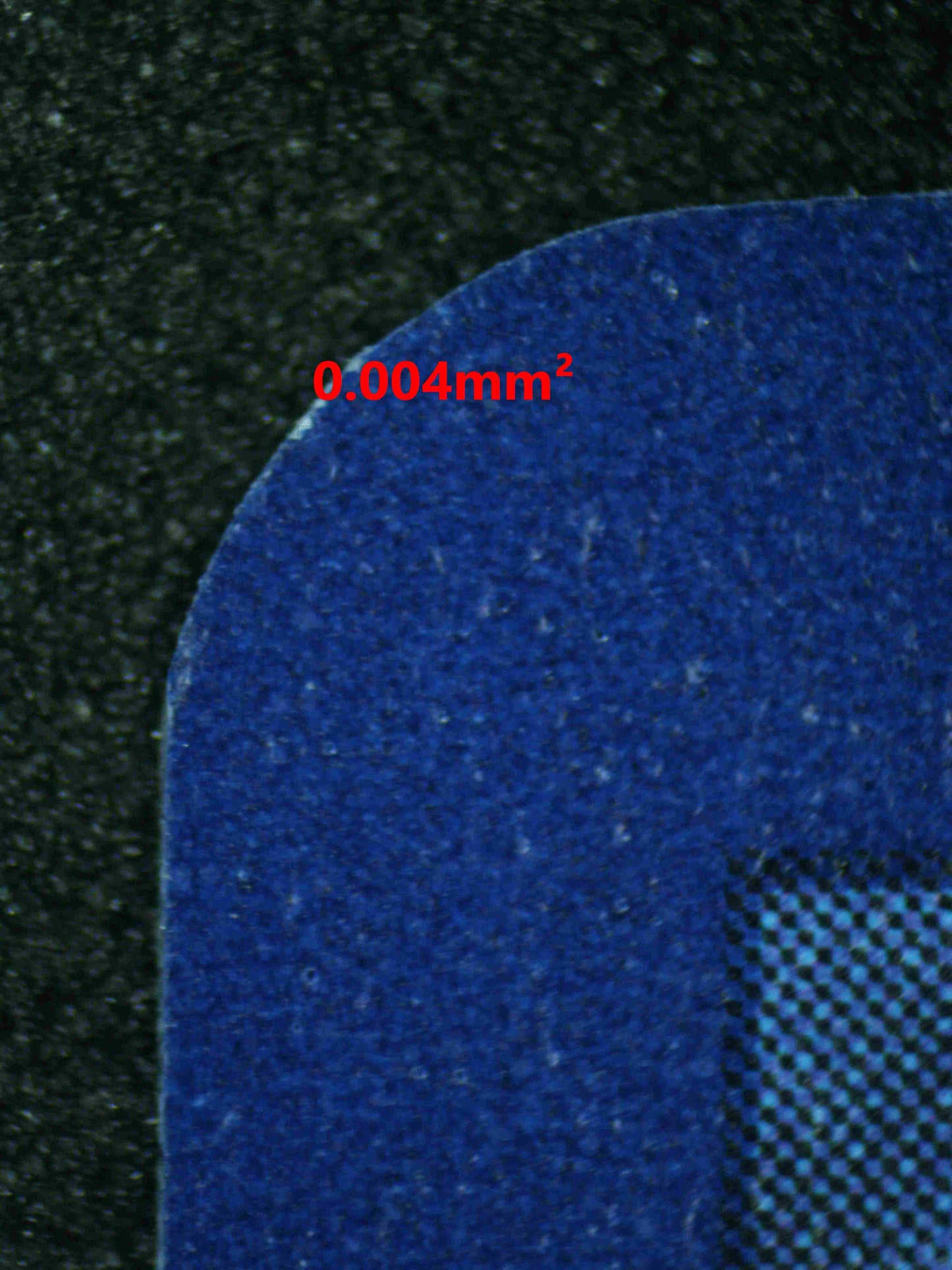 08048 DACHSBUN EX Grading Card