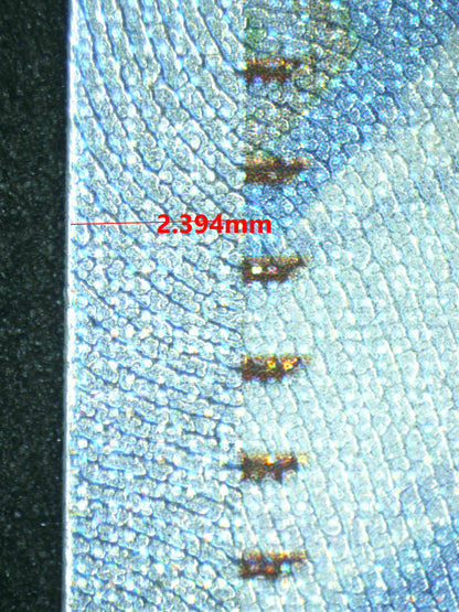 08049 LACEY Grading Card