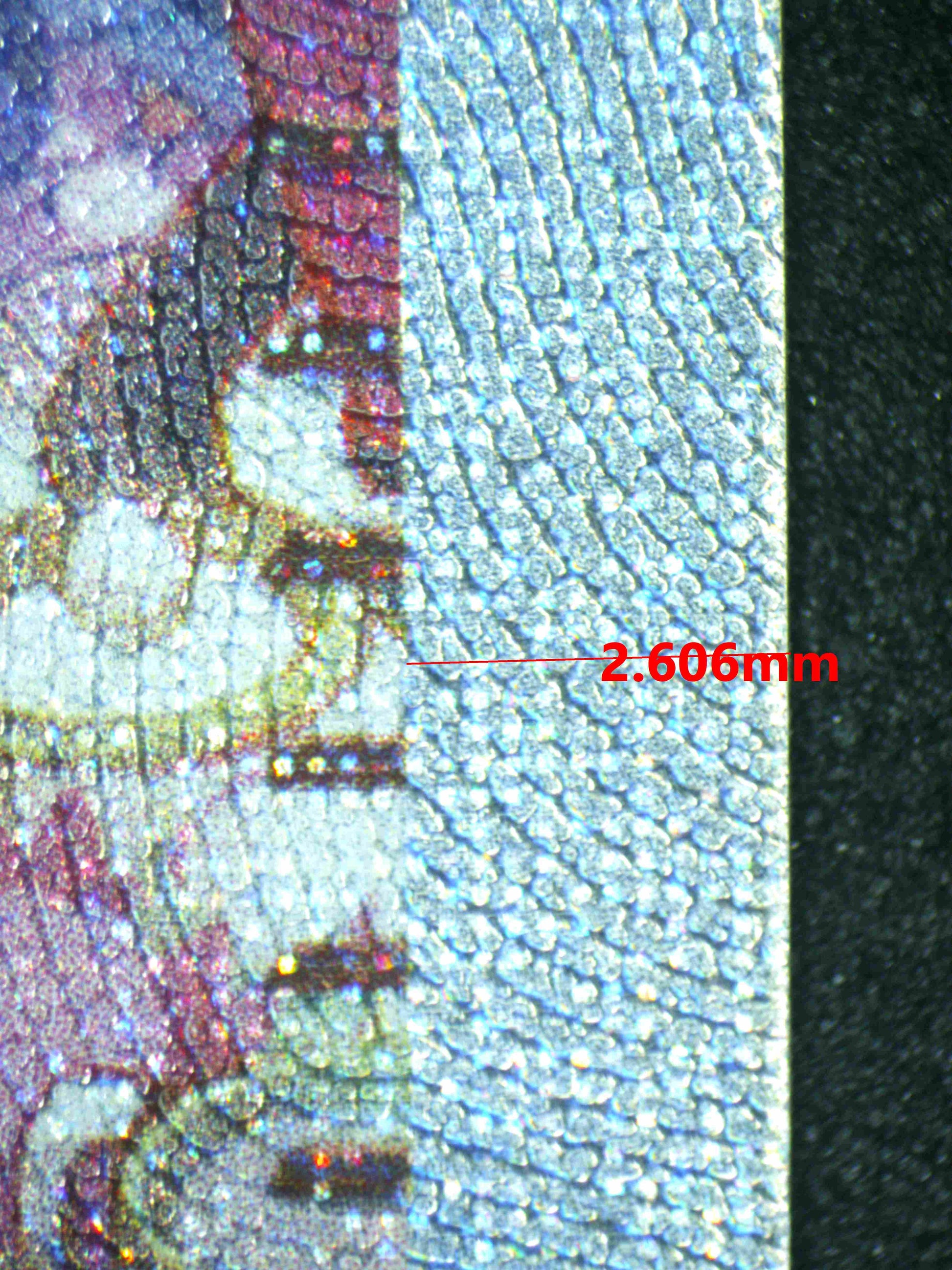 08049 LACEY Grading Card