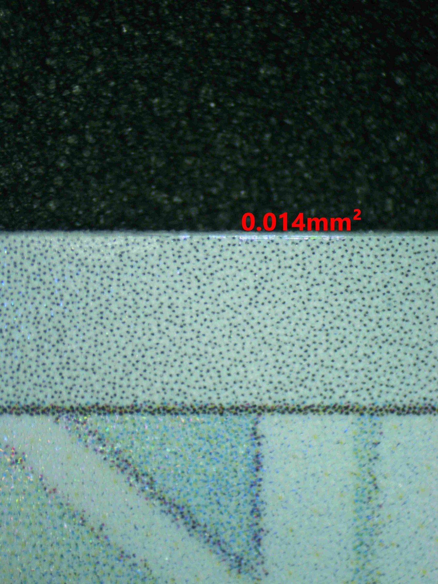 8053 BULBASAUR Grading Card