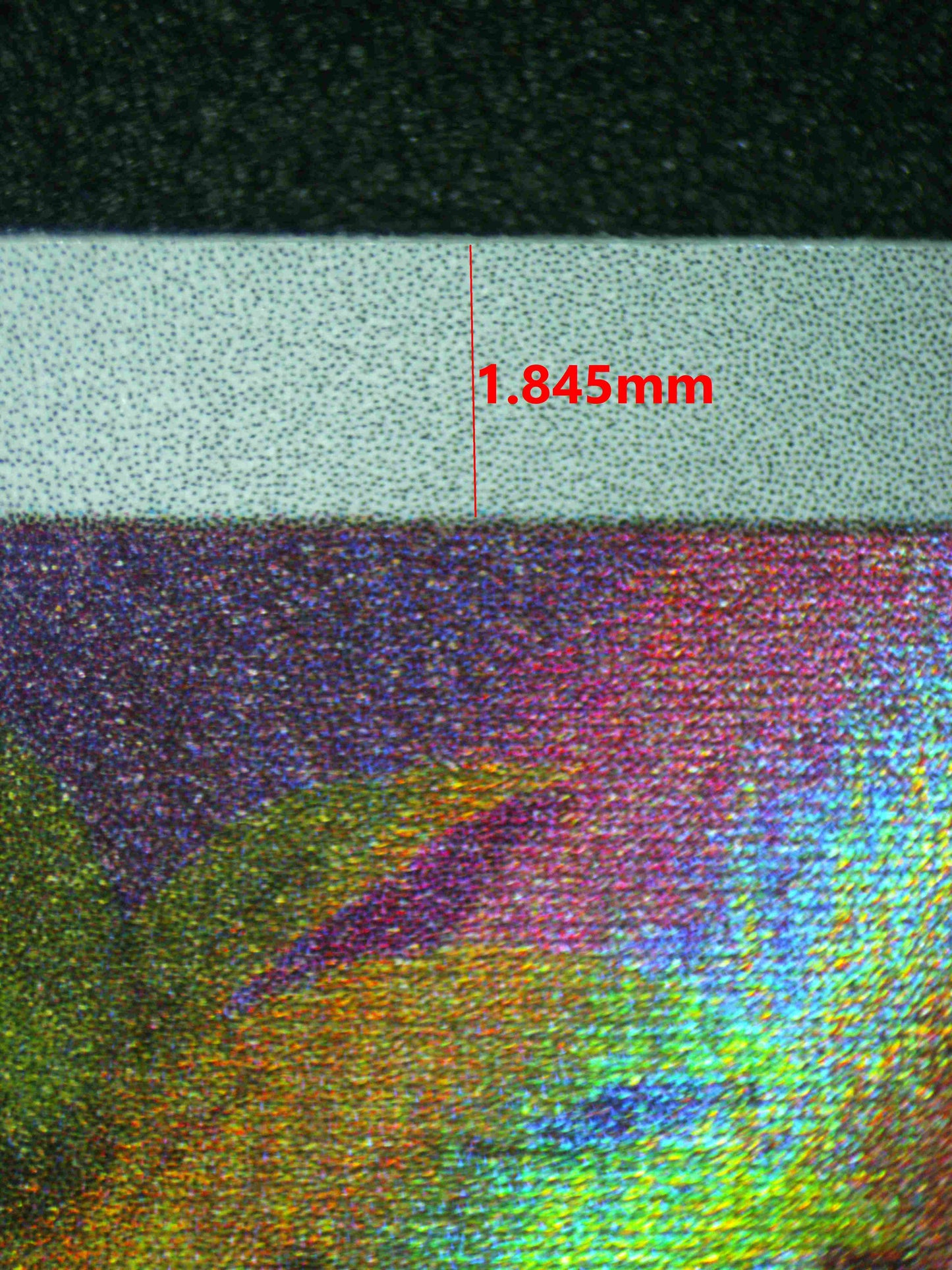 8053 BULBASAUR Grading Card