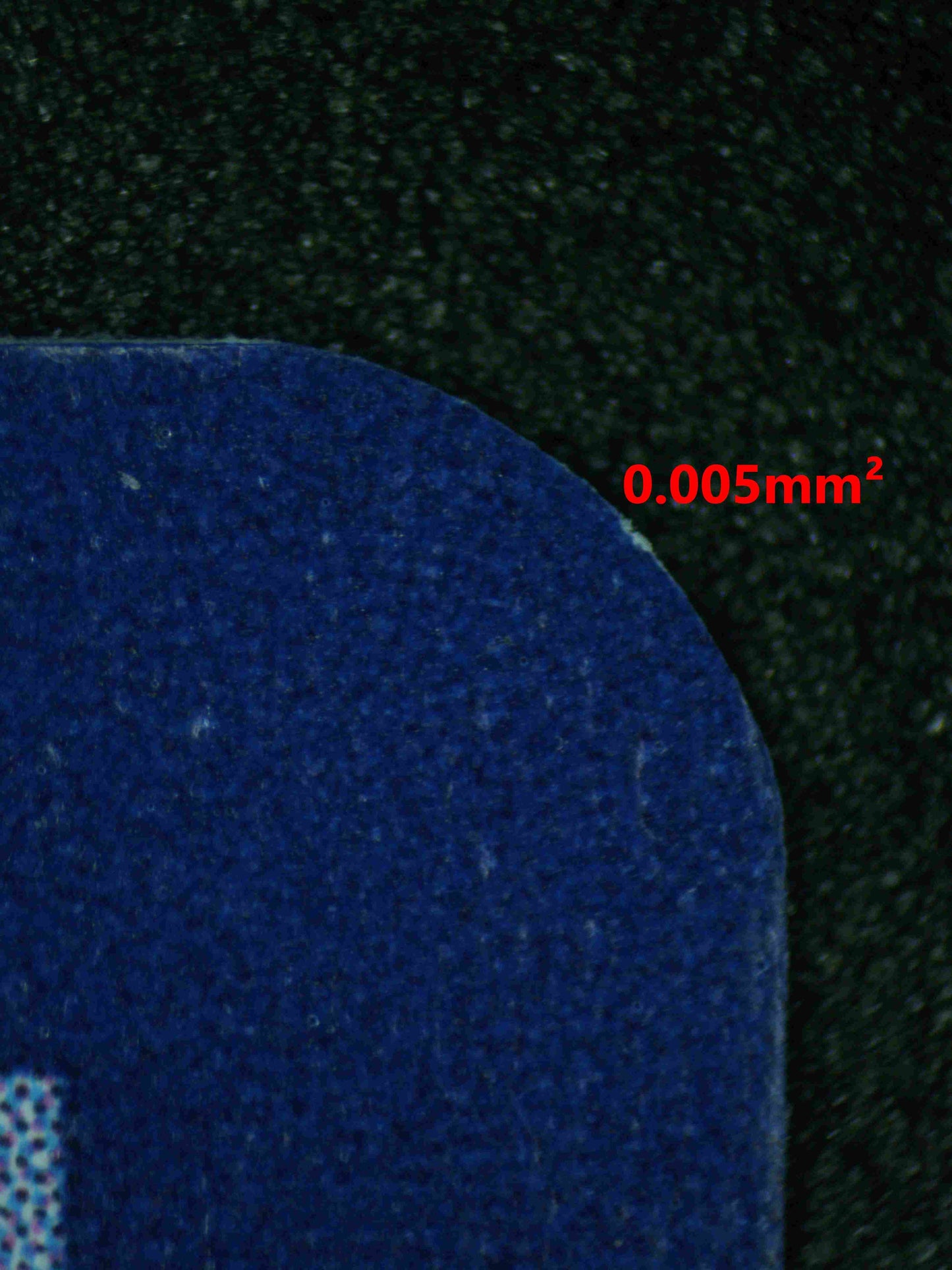 08054 TERAPAGOS EX Grading Card