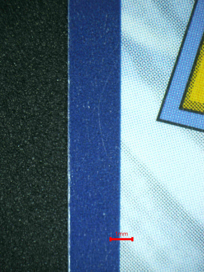 08057 ALOLAN EXEGGUTOR EX Grading Card