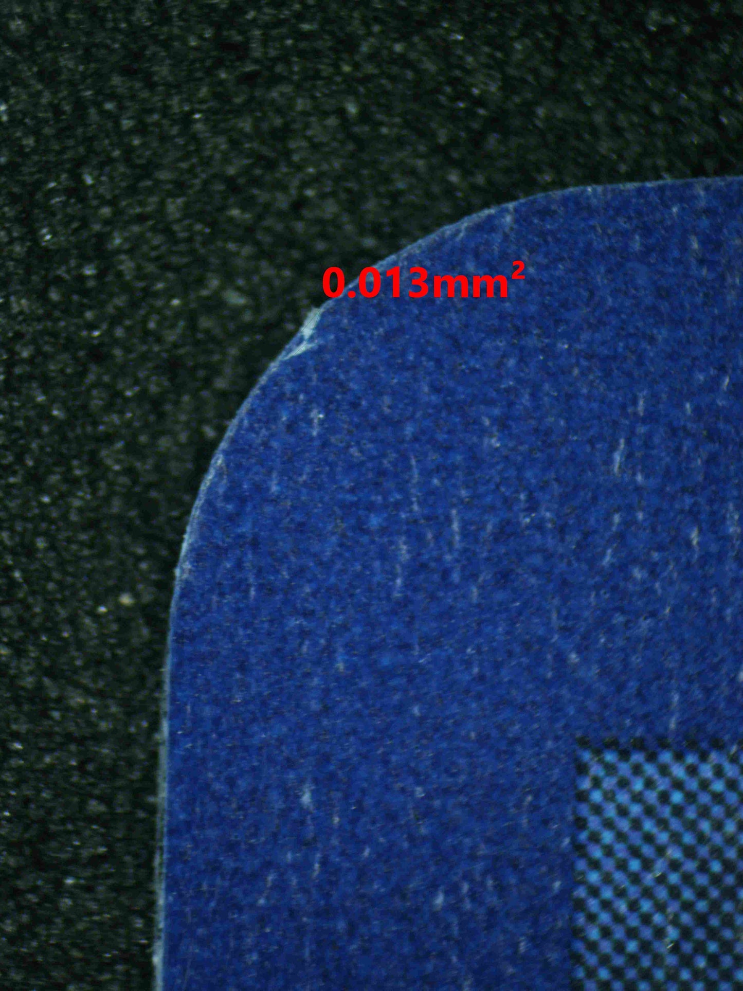 08057 ALOLAN EXEGGUTOR EX Grading Card