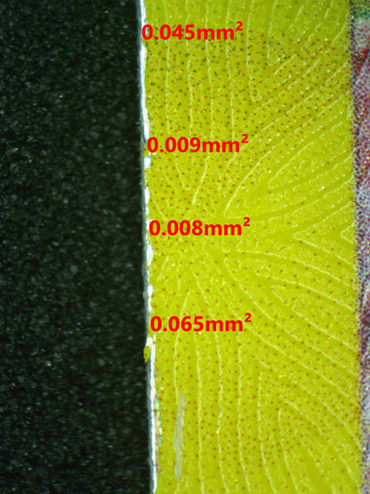 08057 ALOLAN EXEGGUTOR EX Grading Card