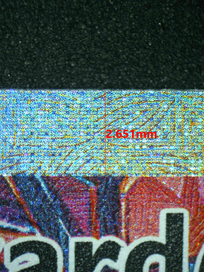 08059 CHARIZARD EX Grading Card